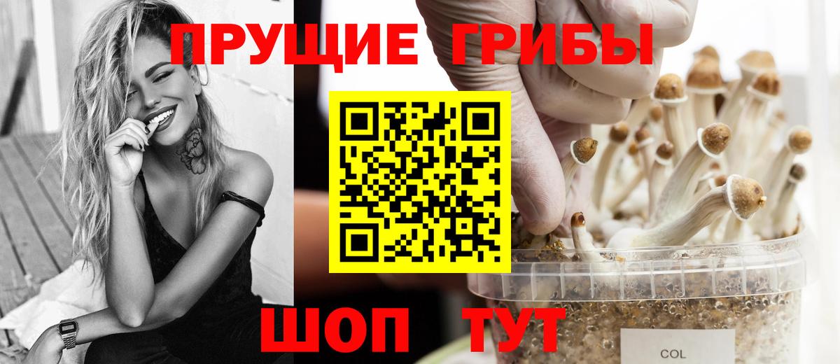Галлюциногенные грибы GOLDEN TEACHER Коркино