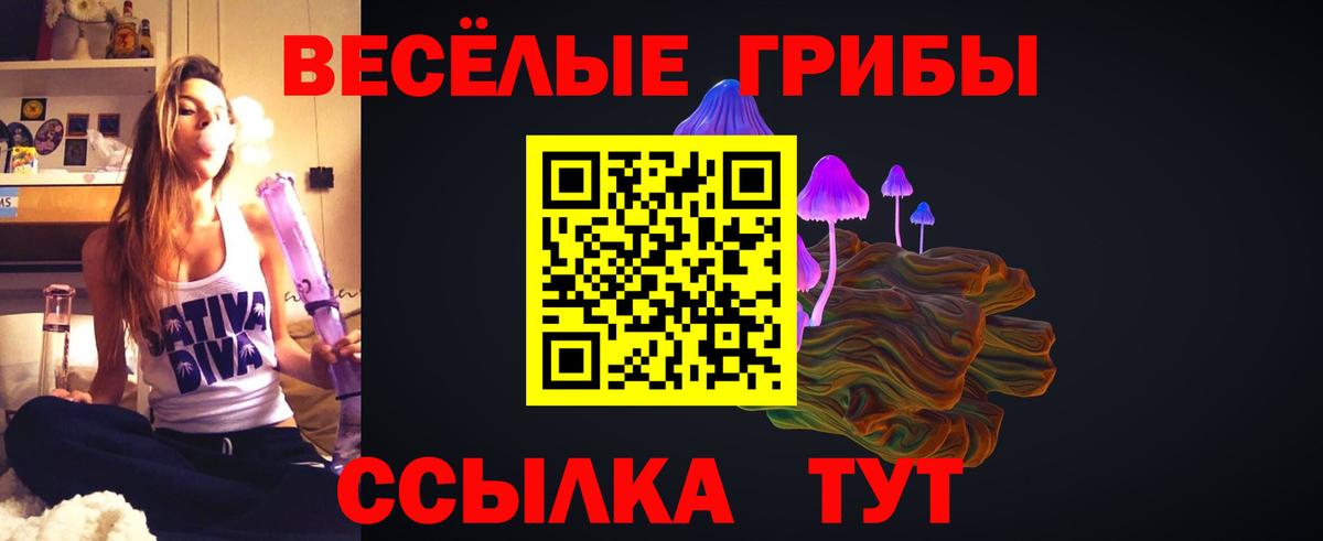 Коркино  Галлюциногенные грибы Cubensis  Вход с VPN 
